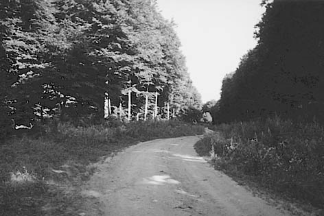 фото: Берда